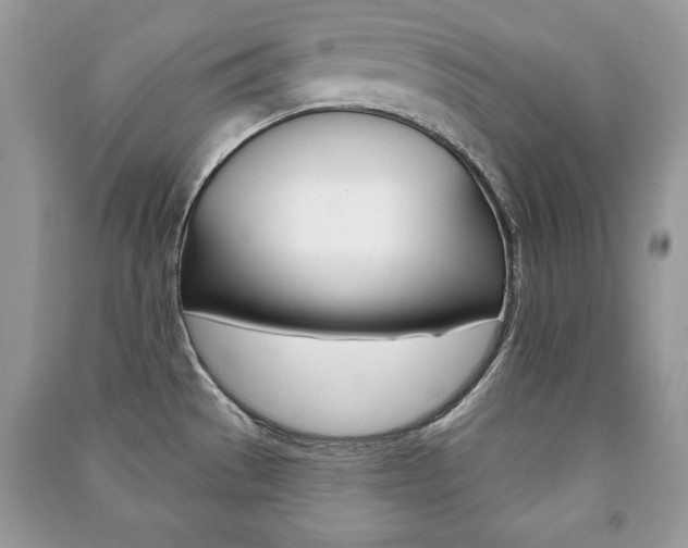X0000091171529200708091013
