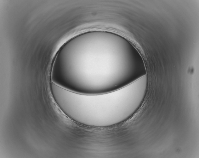 X0000091171530200708091013