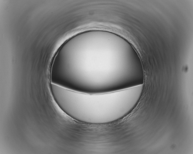 X0000091171531200708091013