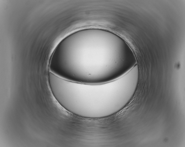 X0000091171532200708091013