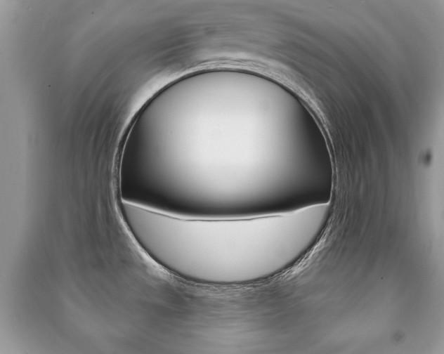 X0000091171533200708091013