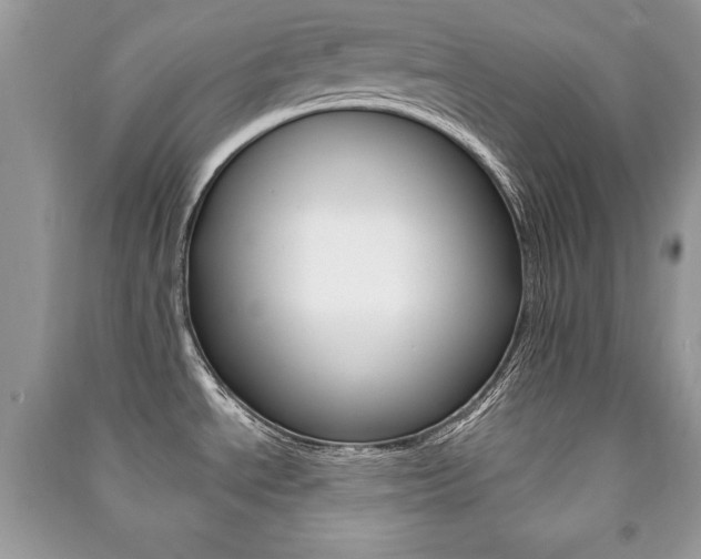 X0000091171534200708091013