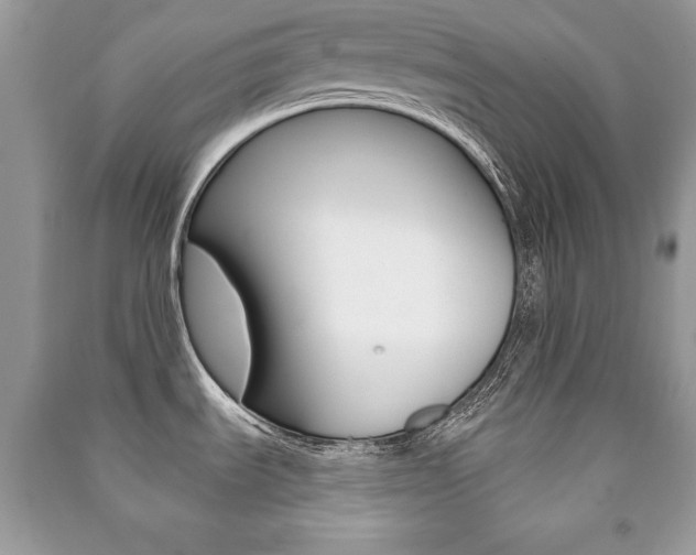 X0000091171535200708091013