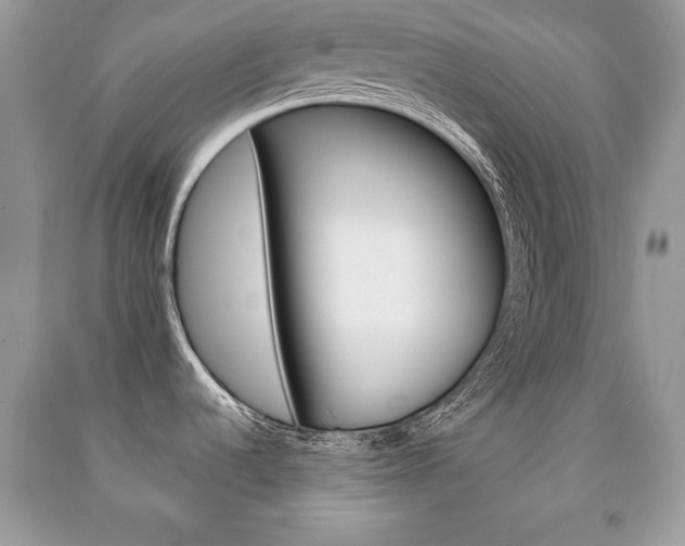 X0000091171536200708091013
