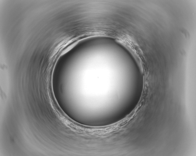 X0000091170001200708091212