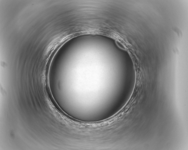 X0000091170002200708091212