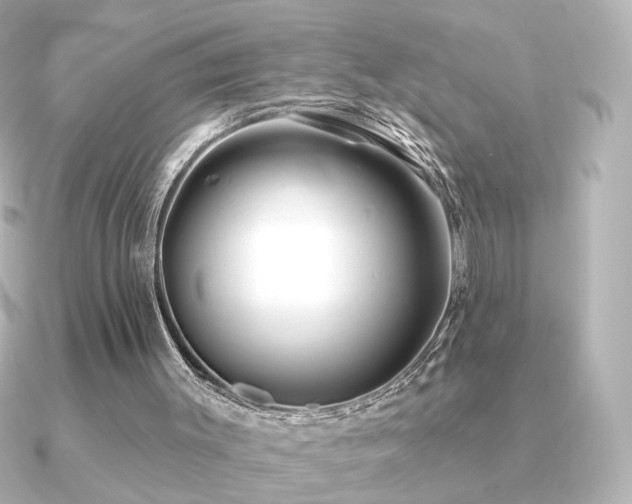 X0000091170003200708091212