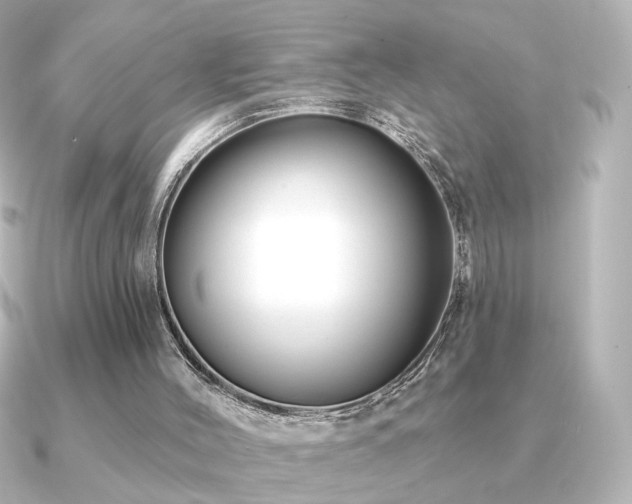 X0000091170004200708091212