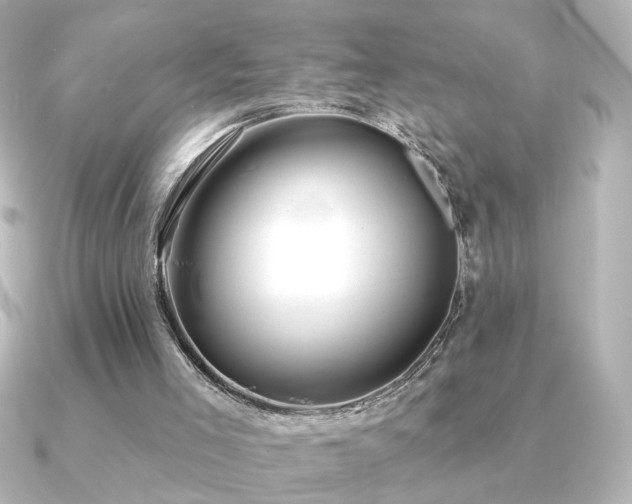 X0000091170005200708091212