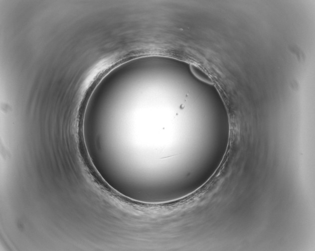 X0000091170006200708091212