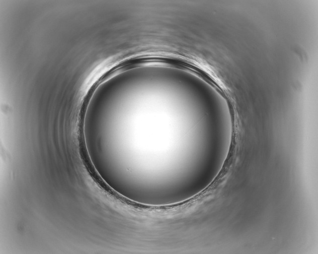 X0000091170007200708091212