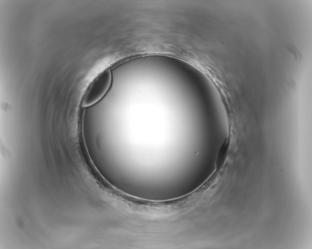 X0000091170008200708091212