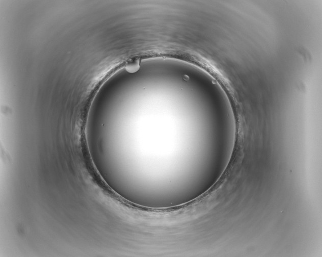 X0000091170010200708091212