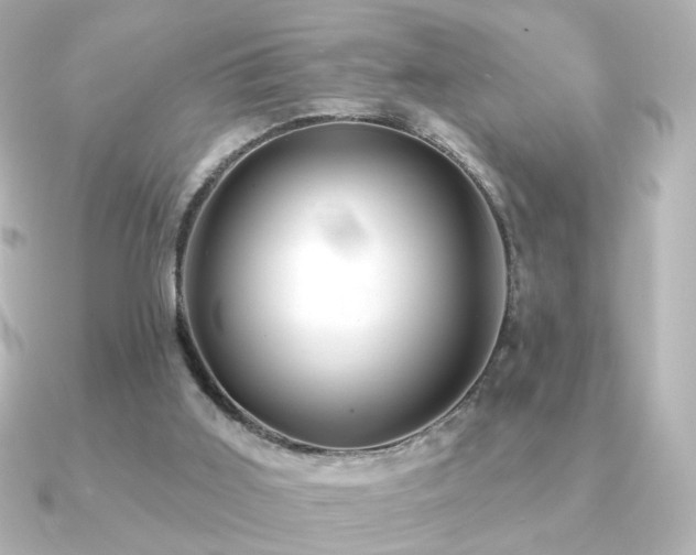 X0000091170011200708091212