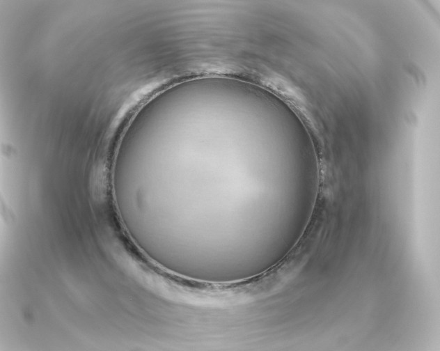 X0000091170012200708091212