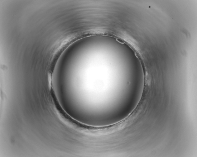X0000091170013200708091212