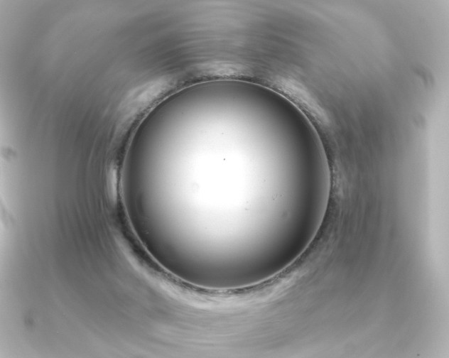 X0000091170014200708091212