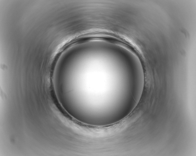 X0000091170015200708091212
