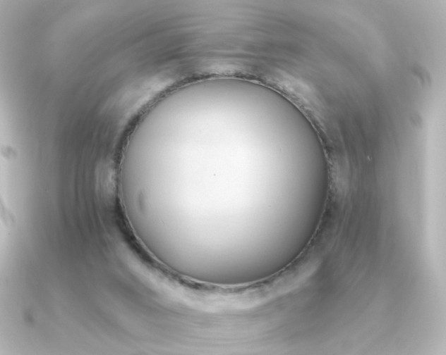 X0000091170016200708091212