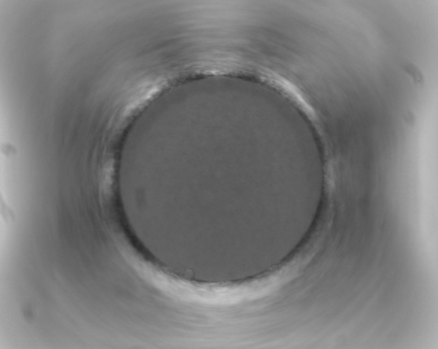 X0000091170018200708091212