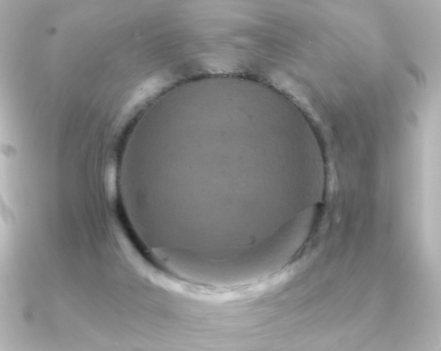 X0000091170019200708091212