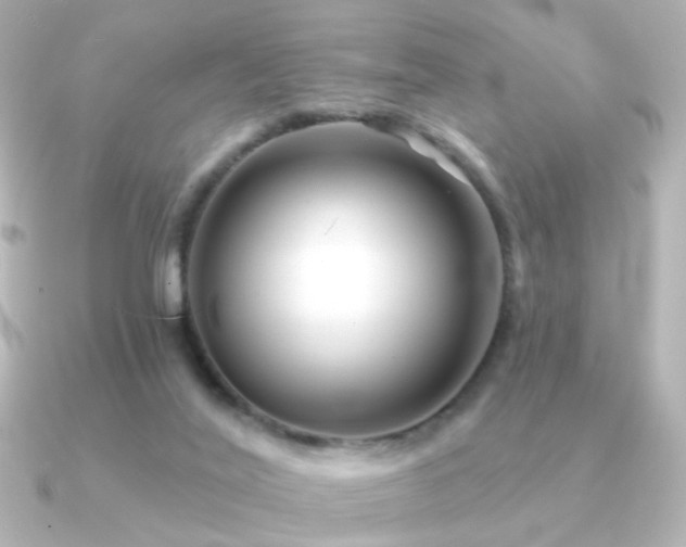 X0000091170020200708091212