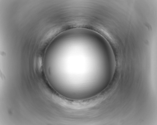 X0000091170022200708091212
