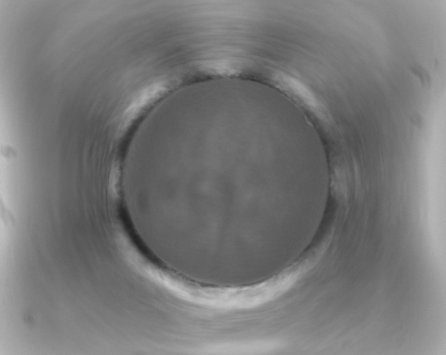 X0000091170023200708091212