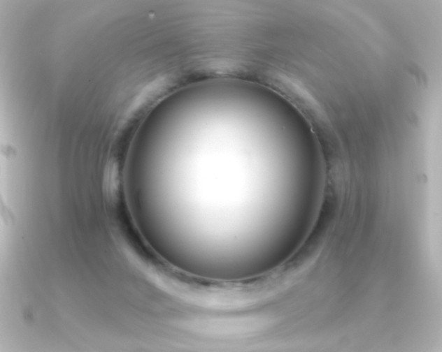 X0000091170024200708091212