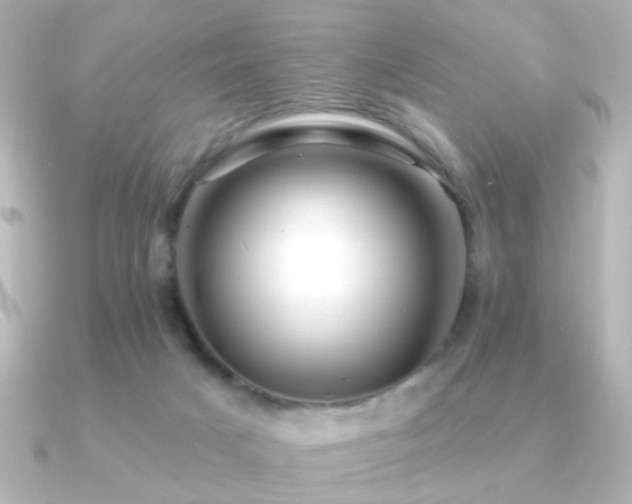 X0000091170025200708091212