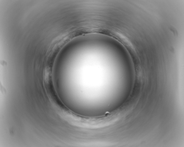 X0000091170026200708091212