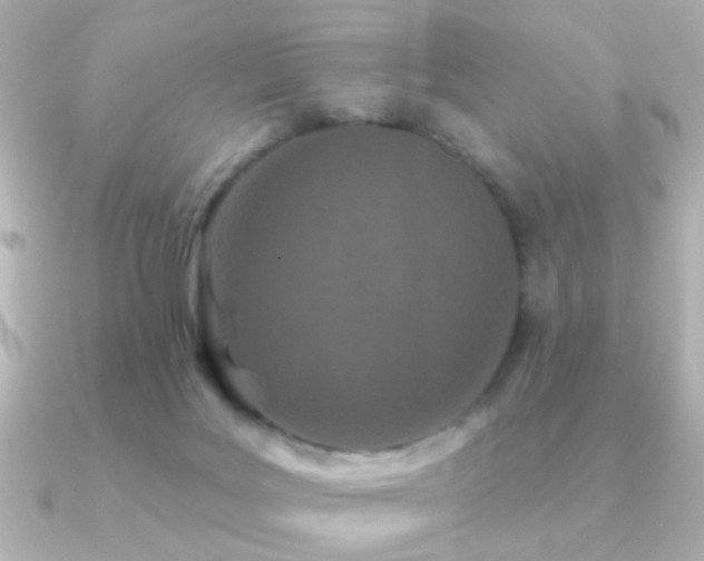 X0000091170027200708091212