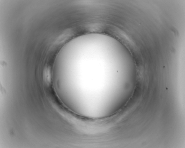 X0000091170028200708091212