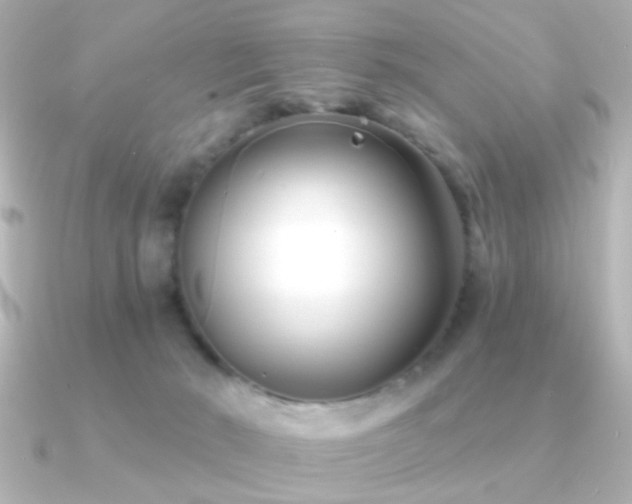 X0000091170030200708091212