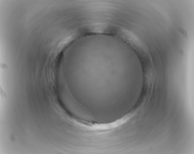X0000091170031200708091212