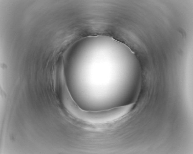 X0000091170033200708091212