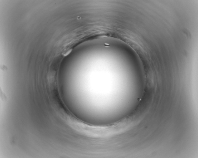 X0000091170034200708091212
