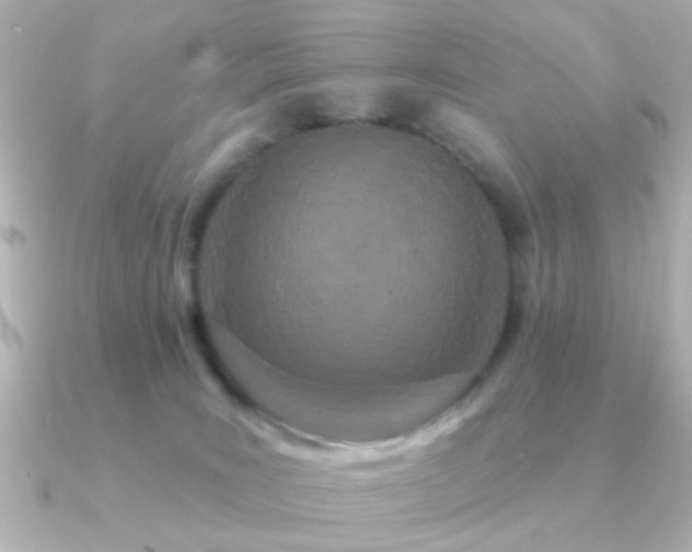 X0000091170035200708091212