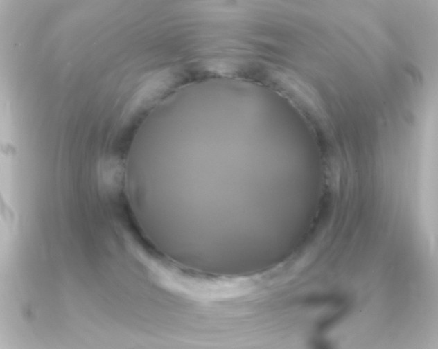 X0000091170036200708091212