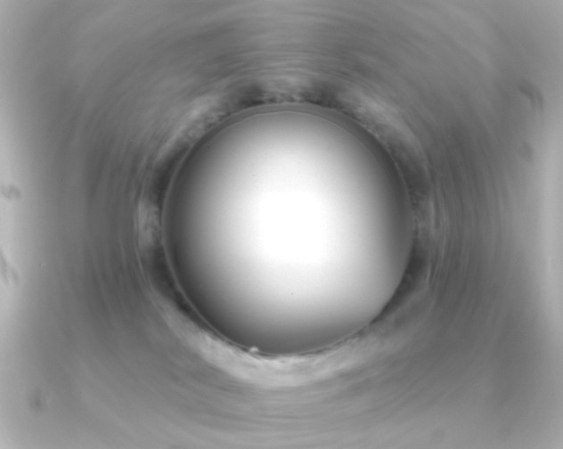 X0000091170038200708091212