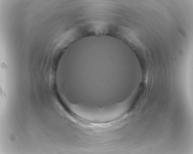 X0000091170039200708091212