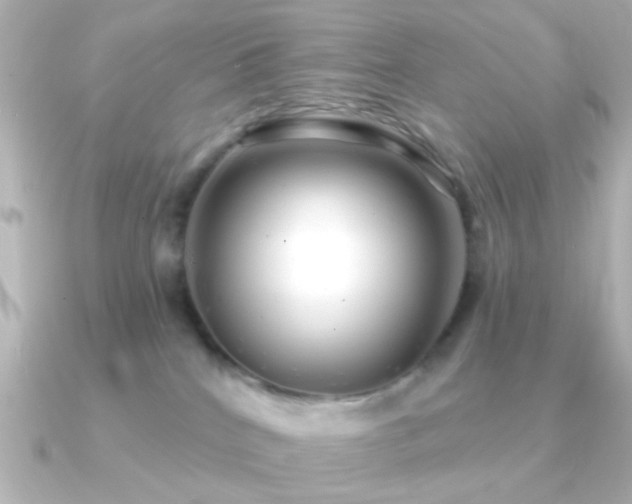 X0000091170040200708091212