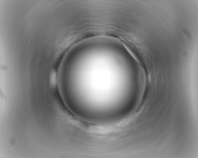 X0000091170041200708091212