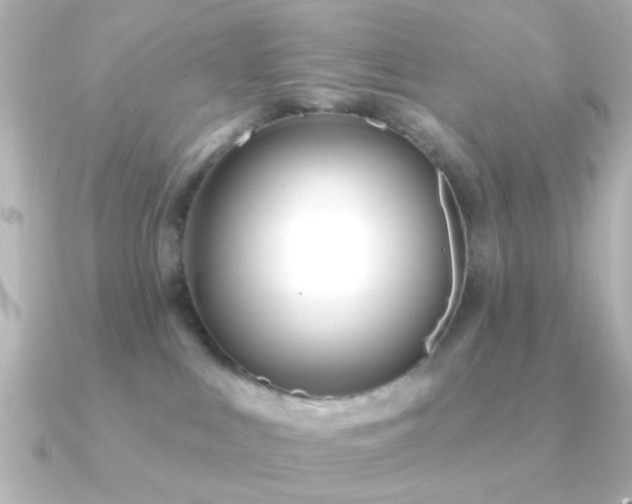X0000091170043200708091212