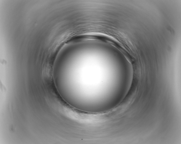 X0000091170044200708091212