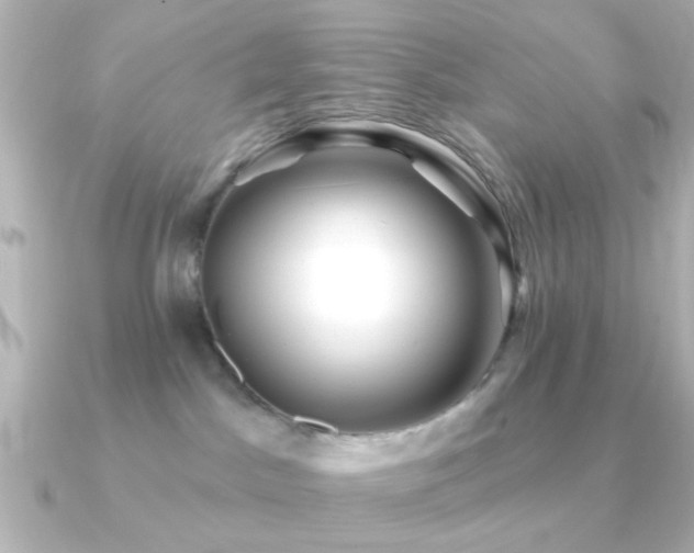 X0000091170045200708091212