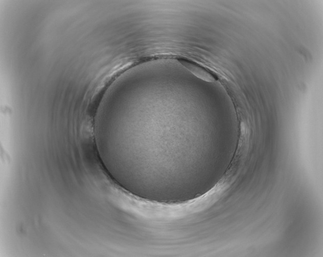 X0000091170048200708091212
