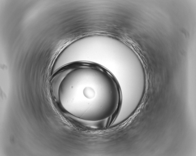 X0000091170049200708091211