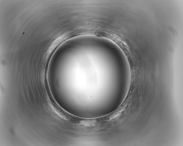 X0000091170051200708091211