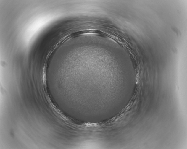 X0000091170052200708091211